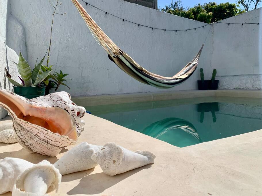 Casita Azul Colonial En El Centro De Merida. Екстериор снимка