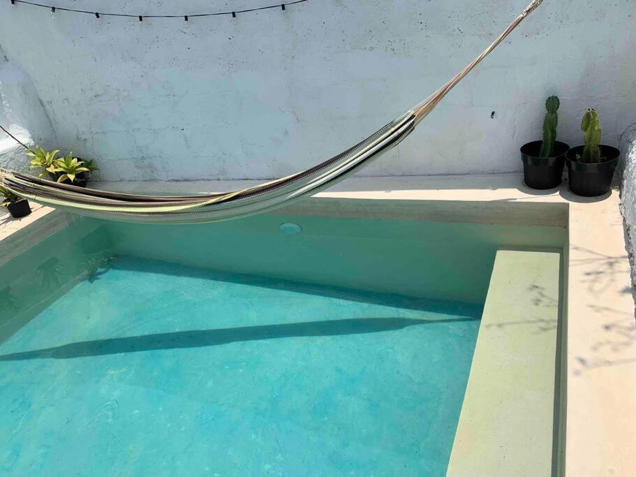 Casita Azul Colonial En El Centro De Merida. Екстериор снимка