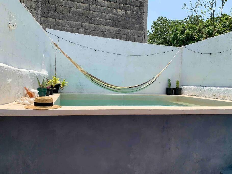Casita Azul Colonial En El Centro De Merida. Екстериор снимка