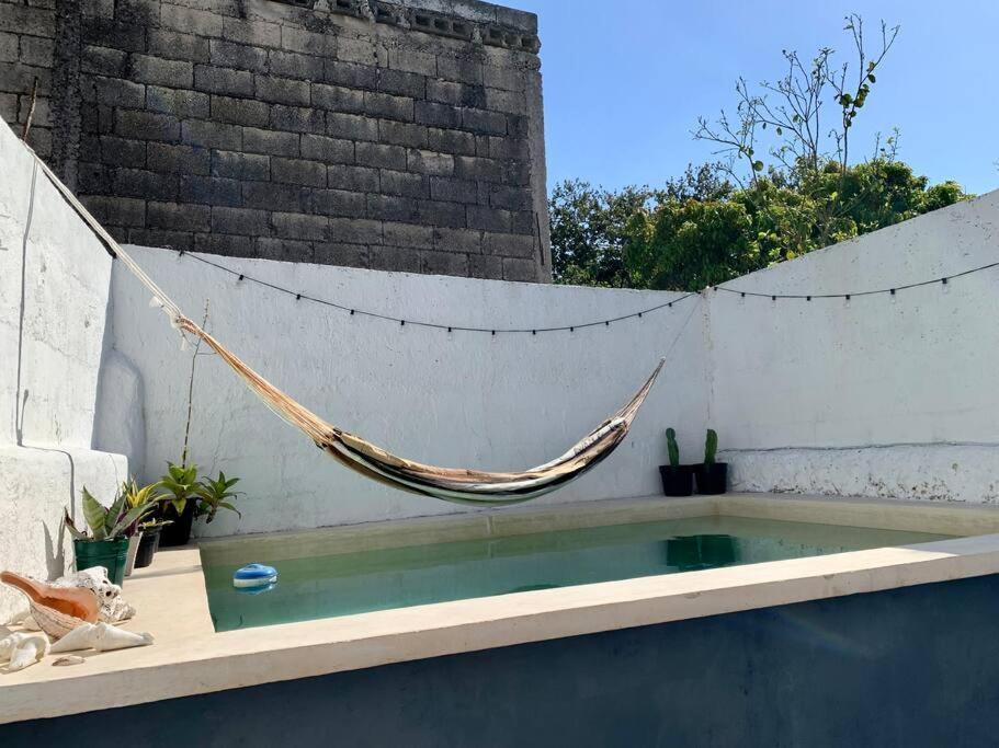 Casita Azul Colonial En El Centro De Merida. Екстериор снимка