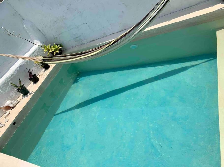 Casita Azul Colonial En El Centro De Merida. Екстериор снимка