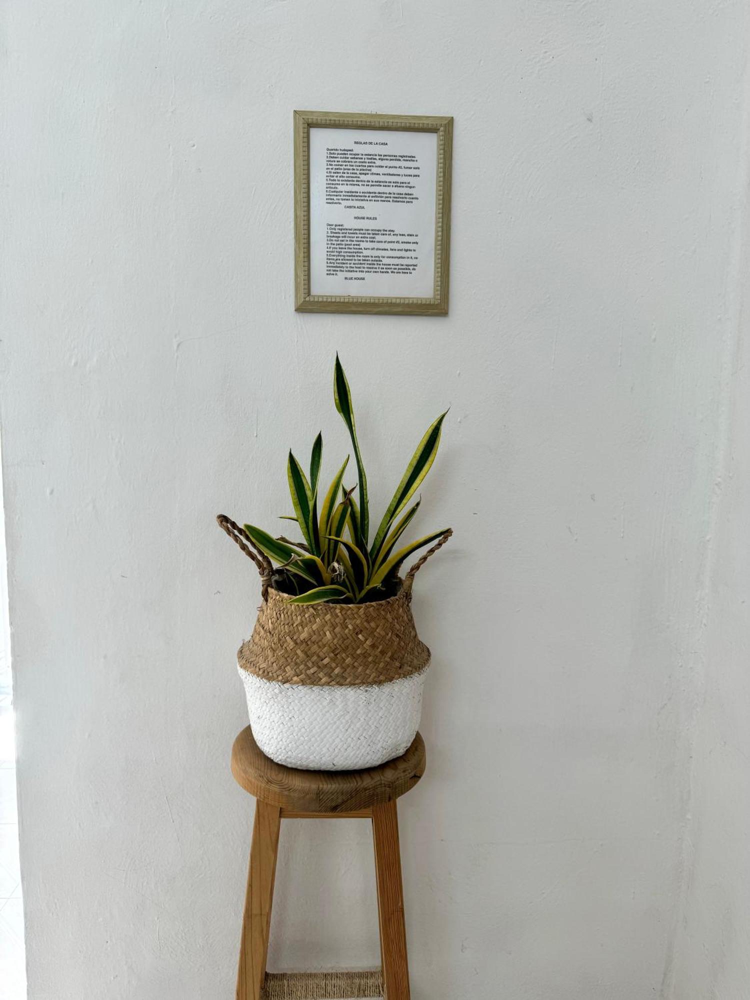 Casita Azul Colonial En El Centro De Merida. Екстериор снимка